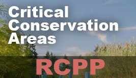 RCPP Program Designates $235 Million for Conservation Partnerships