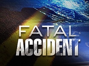 Young man from Excelsior Springs killed in collision