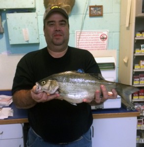 fish_crop