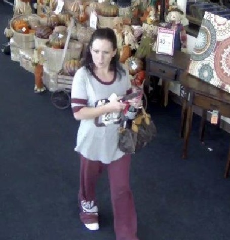 Clay County Detectives ask for public’s help identifying stolen credit card suspect