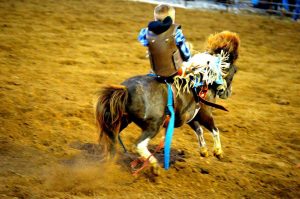 rodeo-5