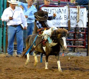 rodeo-6