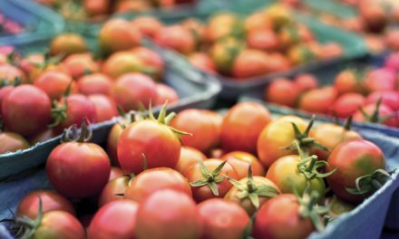 MU Horticulture specialists offer information on hardening off plants, proper tomato care