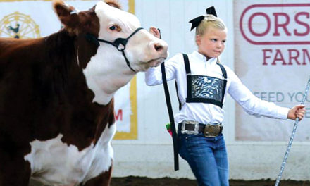 NEWSMAKER: Covid era shrivels funding, staffing for state fair, director says