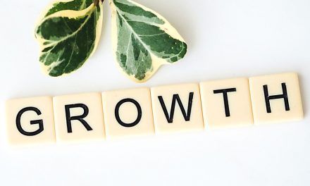 Investments in ag-based businesses, infrastructure improvements key to Chariton County’s growth