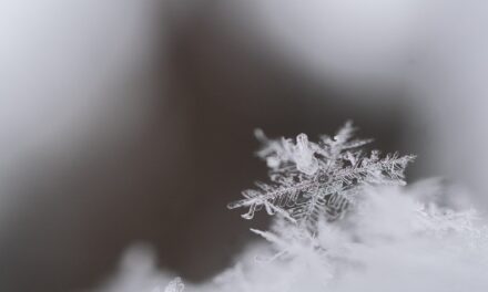 Area municipal experts weigh in on how to keep your home functioning when cold weather hits