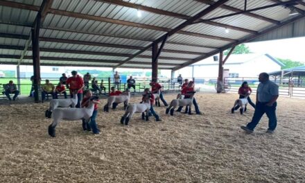 Carroll County Livestock Leaders in need of community support for FFA/4-H youth building