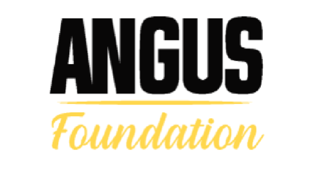 Angus/Talon Youth Educational Learning Program Internship Due December 1st