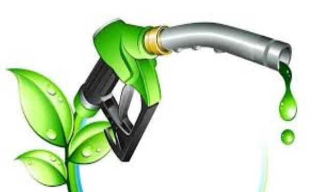 Despite Electric Vehicles, Biofuels Have Healthy/Growing Future